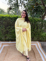 Lemon Kashmiri style embroidered full suit set