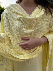 Lemon Kashmiri style embroidered full suit set