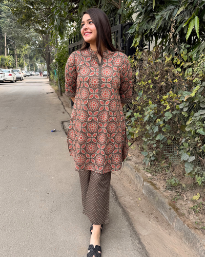 Sanganeri Brown top