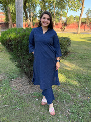 Indigo HANDLOOM IKKAT coord set