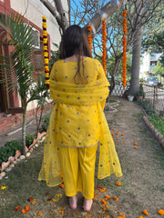 Haldi yellow embroidered Suit set