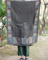 Mehendi green chanderi full suit set