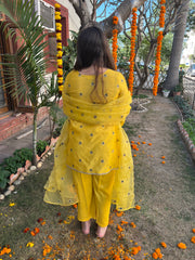 Haldi yellow embroidered Suit set