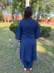 Indigo HANDLOOM IKKAT coord set